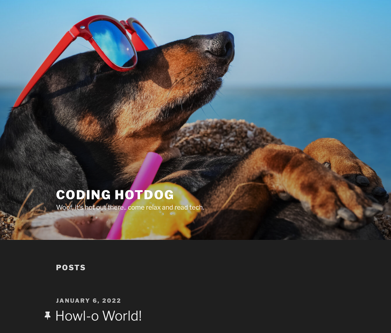 image of website with dog on it